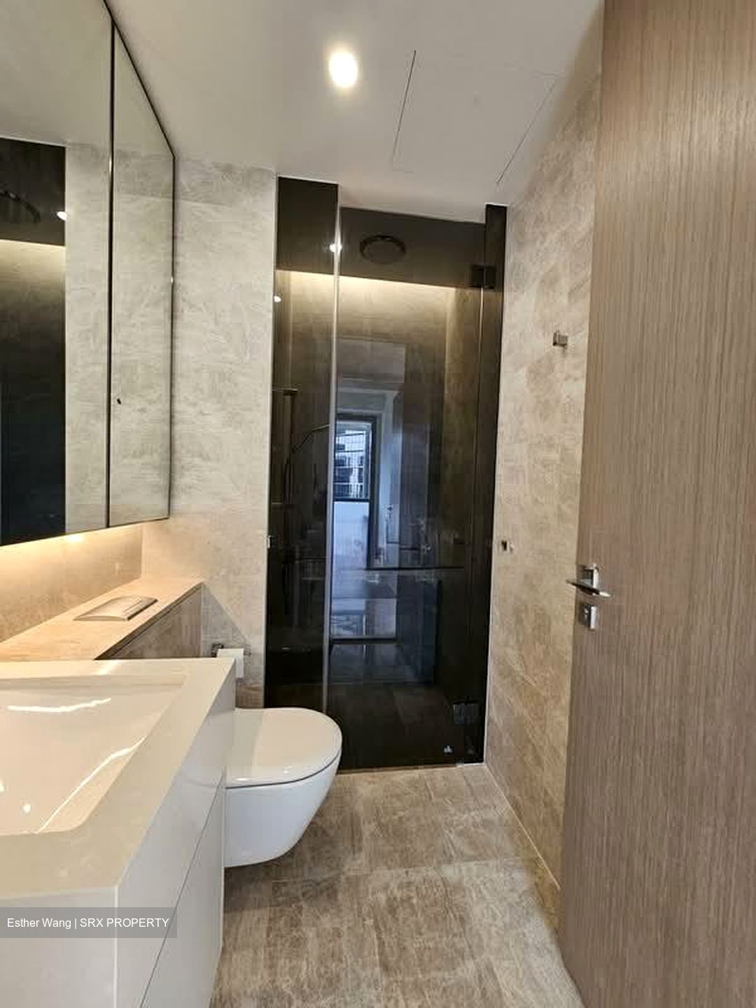Amber Park (D15), Condominium #567167551